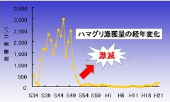 はまぐり漁獲量推移グラフ　激減