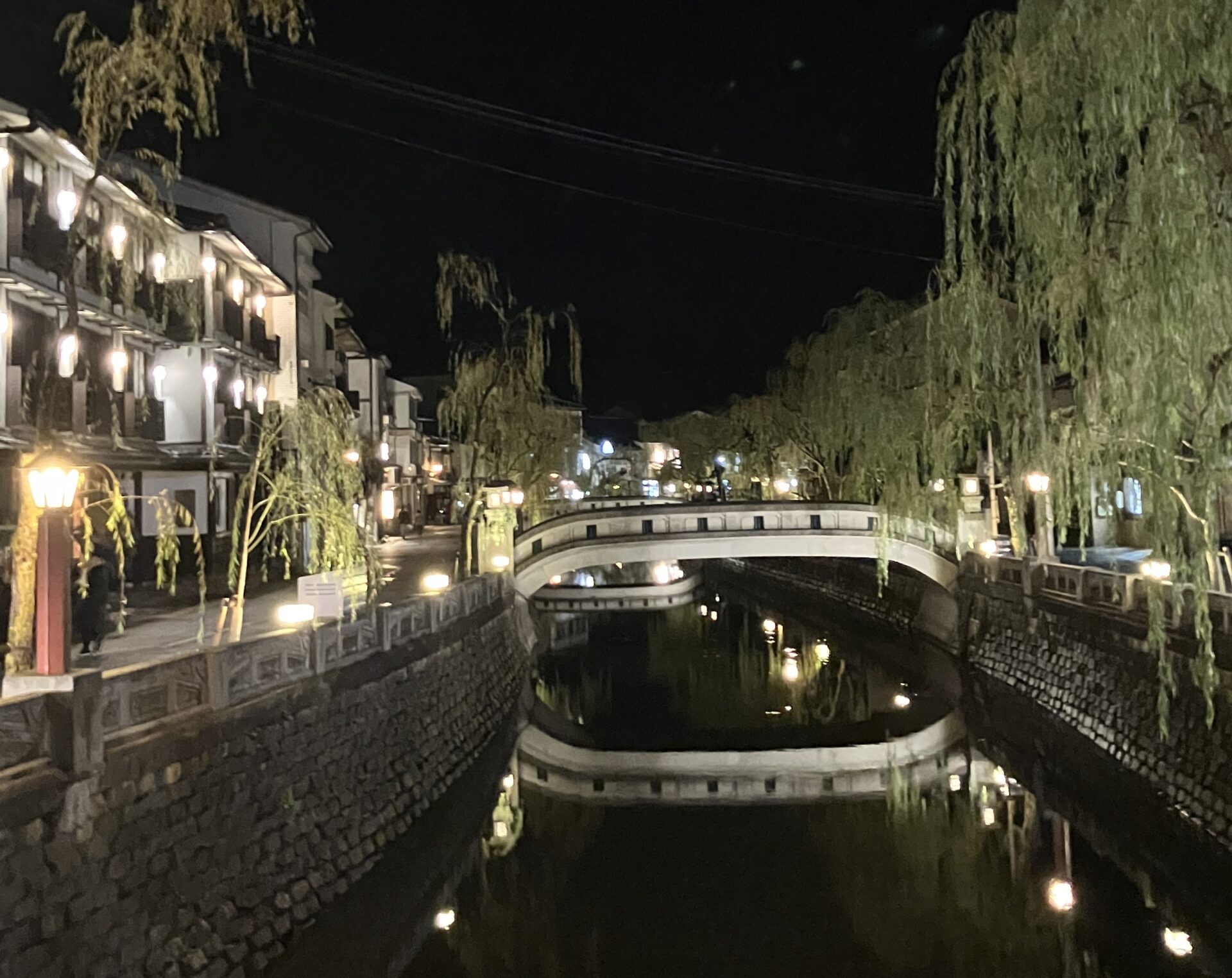 城崎温泉川沿いの夜景