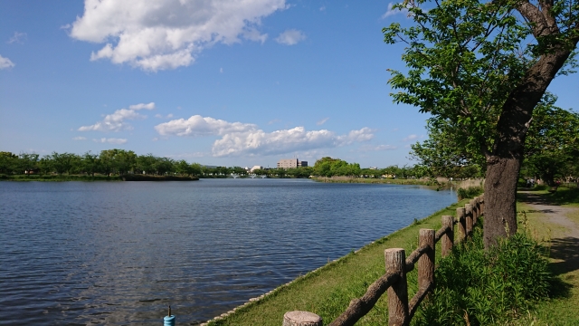 水辺の風景、青空と緑地