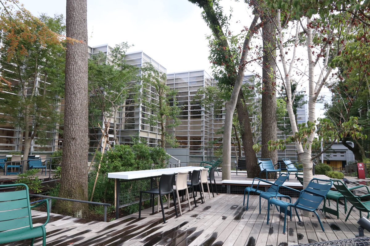 杉並区中央図書館、中庭ウッドデッキからの眺め