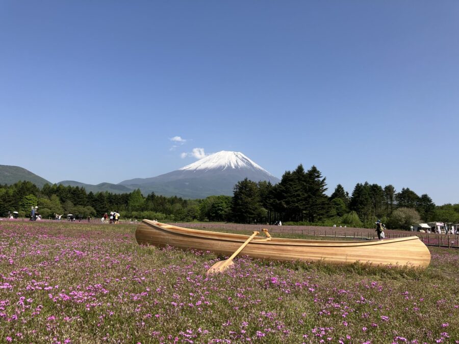 本栖湖芝桜祭り