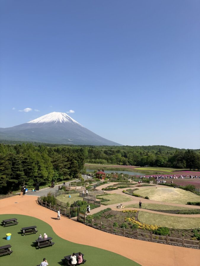 本栖湖芝桜祭り