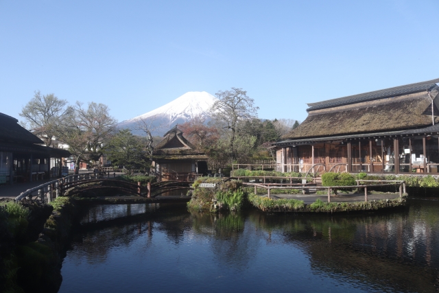 忍野八海と富士山