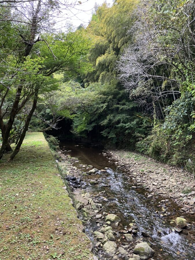 南天苑　小川　蛍