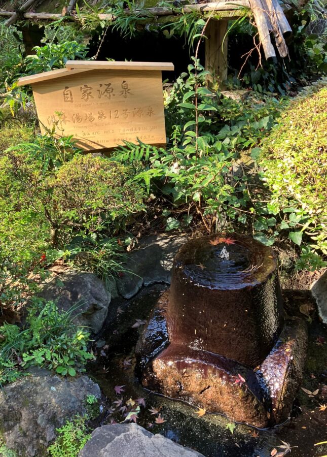 吉池旅館　山月園内に噴出する源泉