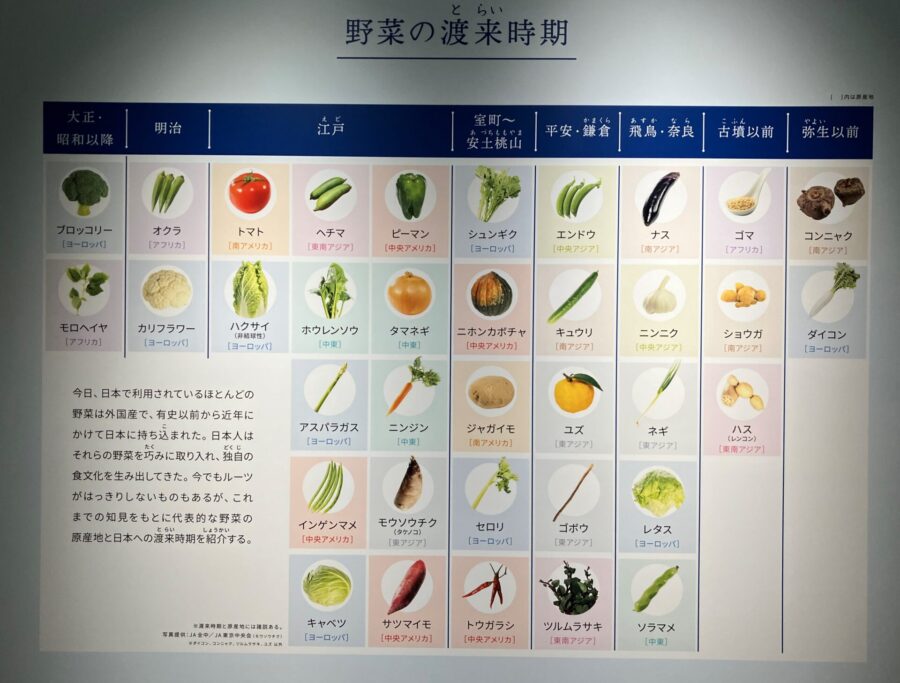 野菜の渡来時期