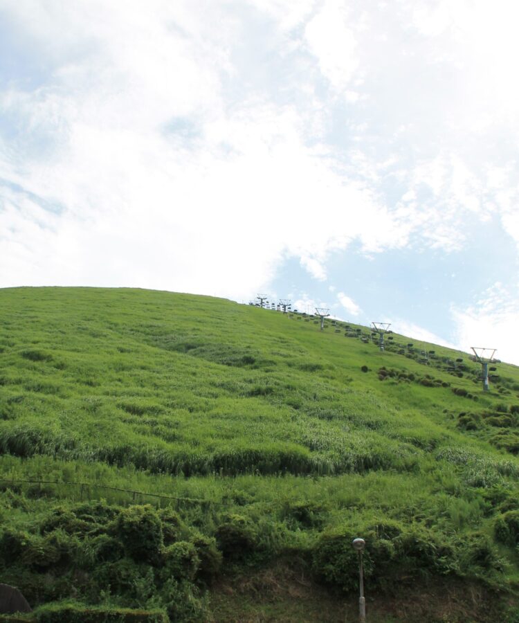 麓から見上げた大室山　急な斜面