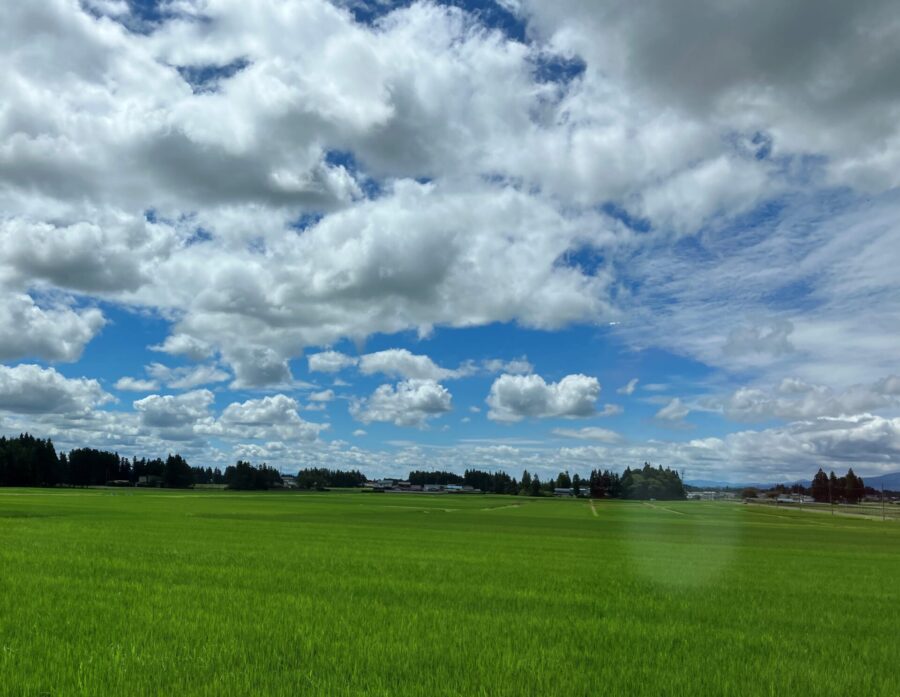 大沢温泉に向かう車窓風景