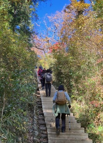 6号路、山頂直下の長い階段