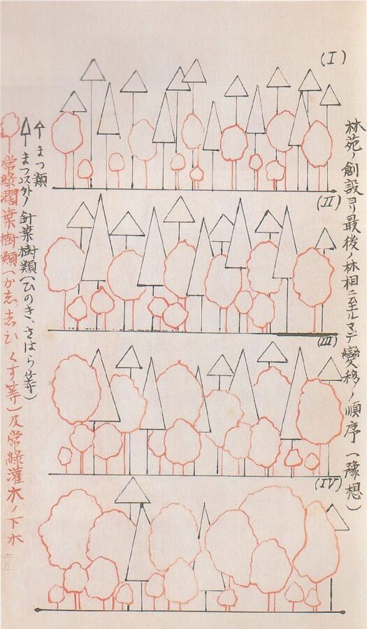 林相図 針葉樹から広葉樹への変遷