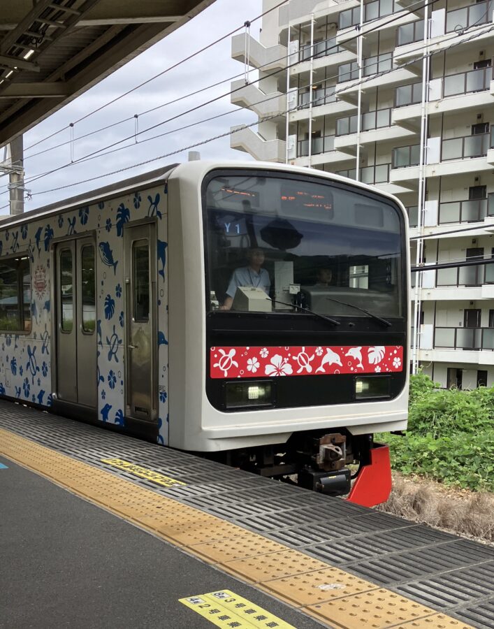 JR伊東線、ラッピング車両
