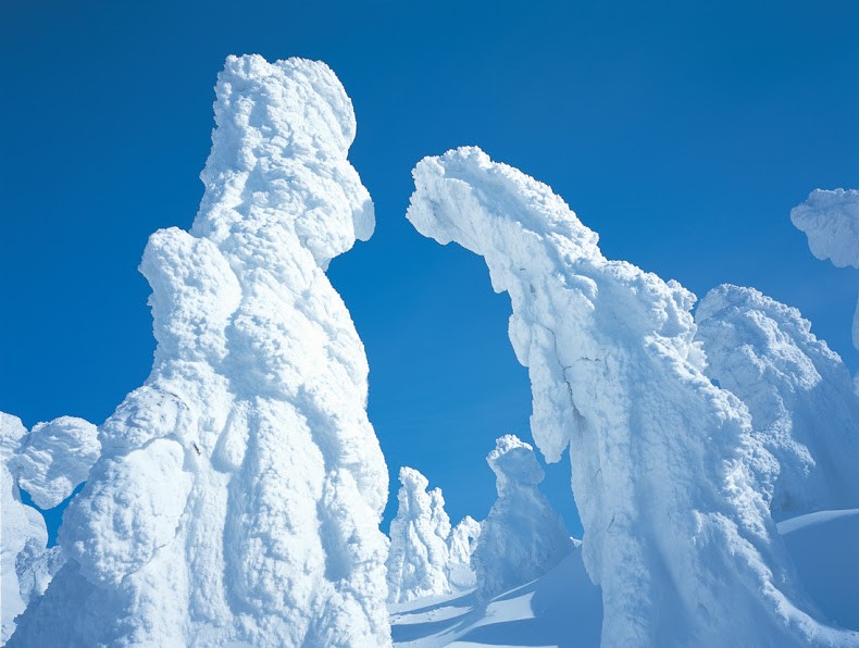 樹氷