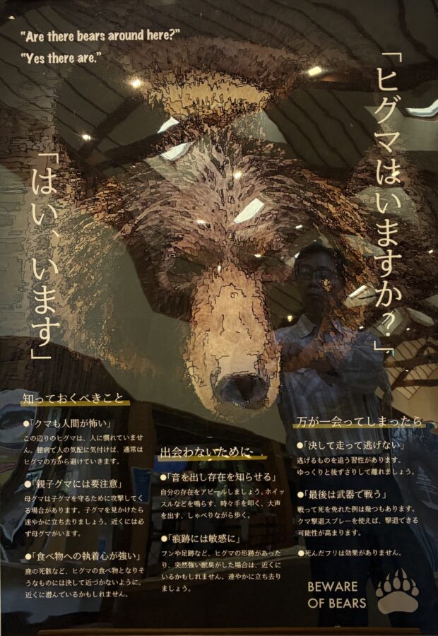 ヒグマポスター