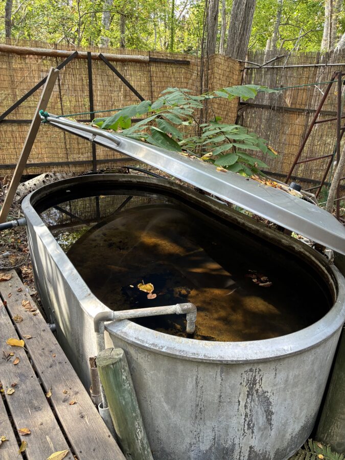 ぱぴりお　ホタテの湯