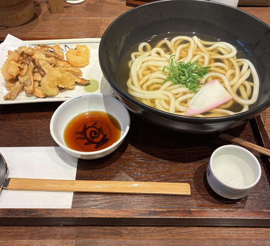 ごぼう天うどん