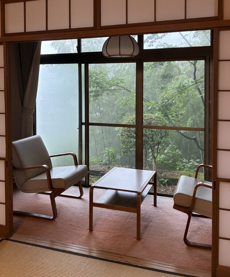 客室 山中の景色