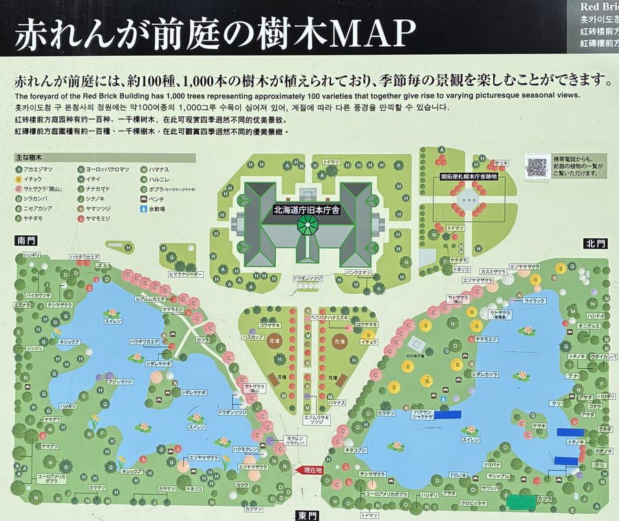 赤れんが庁舎　前庭　樹木案内図