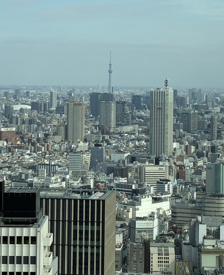 東京都庁展望室　眺望